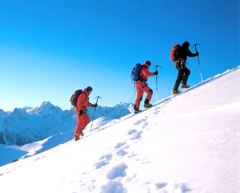 生成企业文化配图 (2).png